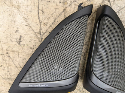 2018-2023 BMW M550i G30 Front Left Right Door Triangle Speaker 9184794
