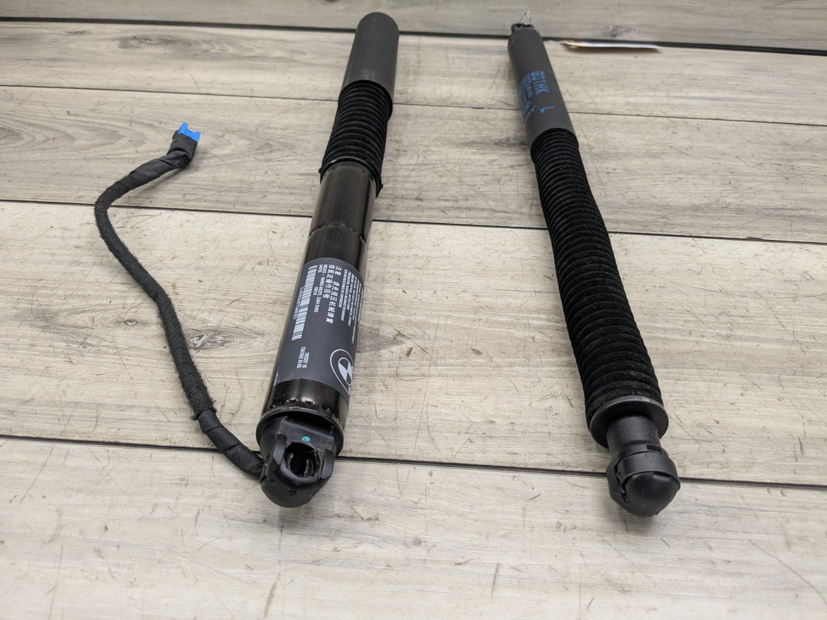 2018-2023 BMW X3 G01 Rear Left Right Liftgate Trunk Lid Strut Shock Supports SET 7397319 OEM