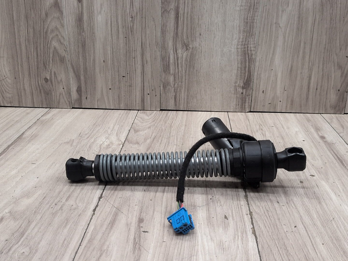 2019-2026 OEM BMW G20 Rear Liftgate Trunk Lid Strut Shock Support