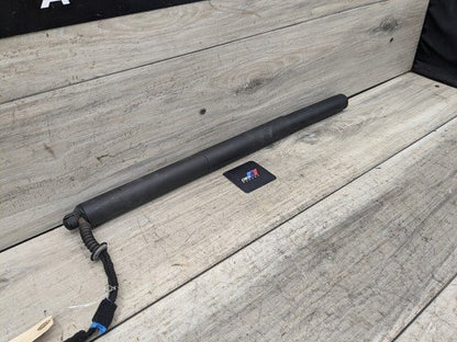 18-23 OEM BMW F39 X2  Rear Left Right Trunk Liftgate Shock Lift Support Strut