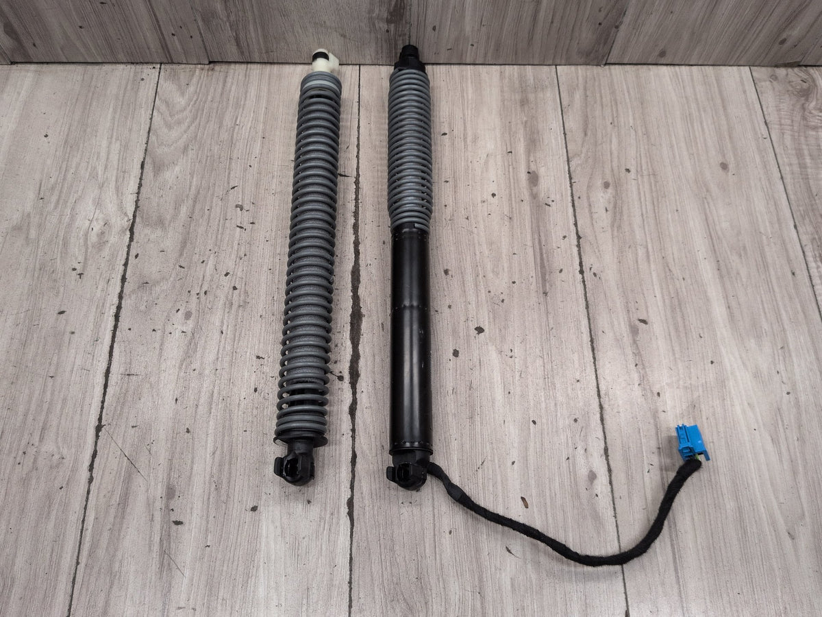 2016-2019 BMW 740Li G12 Liftgate Trunk Lid Strut Shock Supports SET 8737930 OEM