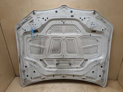 18-25 OEM BMW G01 G02 F97 F98 X3 X4 X3M X4M Hood Bonnet Panel White 300