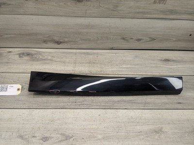 2018-2023 BMW X3 G01 Rear Right Passenger Exterior Door Trim Molding 8064798 OEM