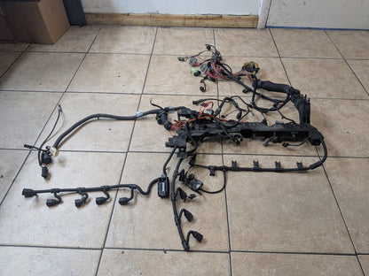 2004-2010 BMW E64 M6 S85B50A Engine Motor Ignition Injector Wiring Wire Harness 7838569