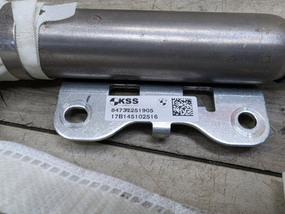 OEM BMW F90 M5 G30 530 540 M550 Left Driver Top Roof Head Air Bag Airbag Curtain