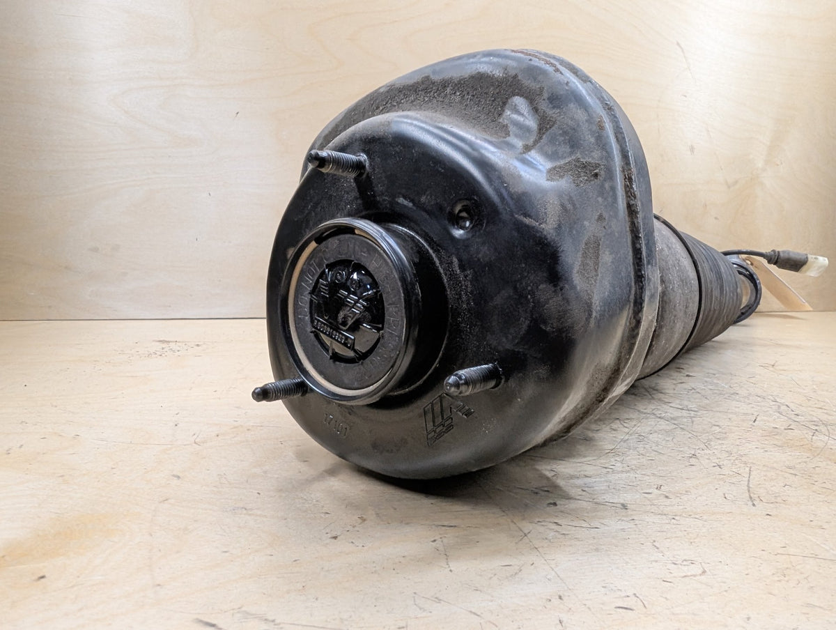 16-22 OEM BMW G11 G12 740 750 B7 REAR Left Driver Air Suspension Strut Shock