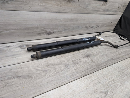 OEM BMW F15 F85 X5 X5M REAR Left Right Trunk Tailgate Shock Hatch Strut PAIR