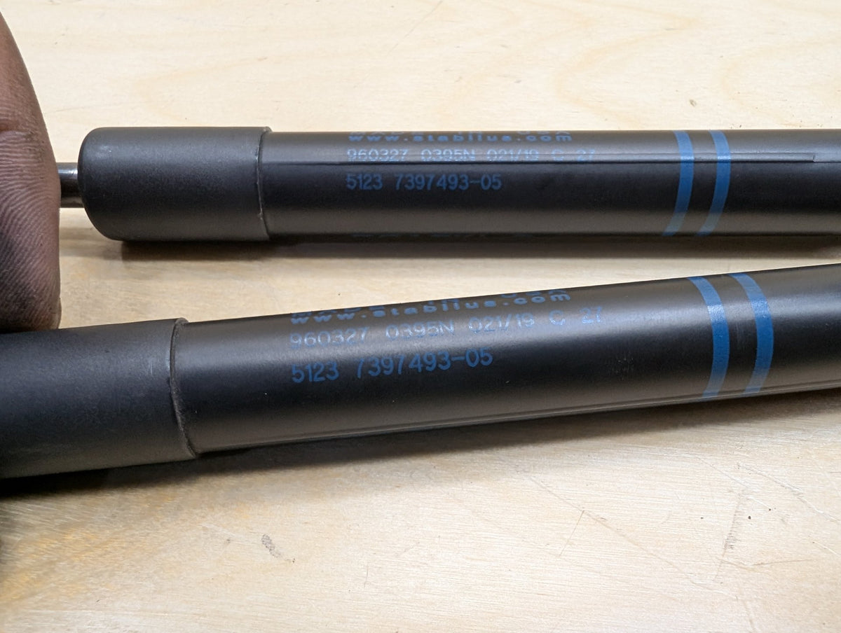 2018-2024 BMW X3 G01 Left Right Hood Bonnet Gas Strut Shock Supports SET 7397493 OEM