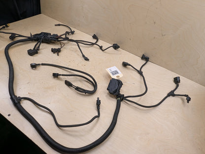 OEM BMW F10* 535 F15 F16 F25 F26 X3 X5 Engine N55 Wiring Wire Harness Module 2