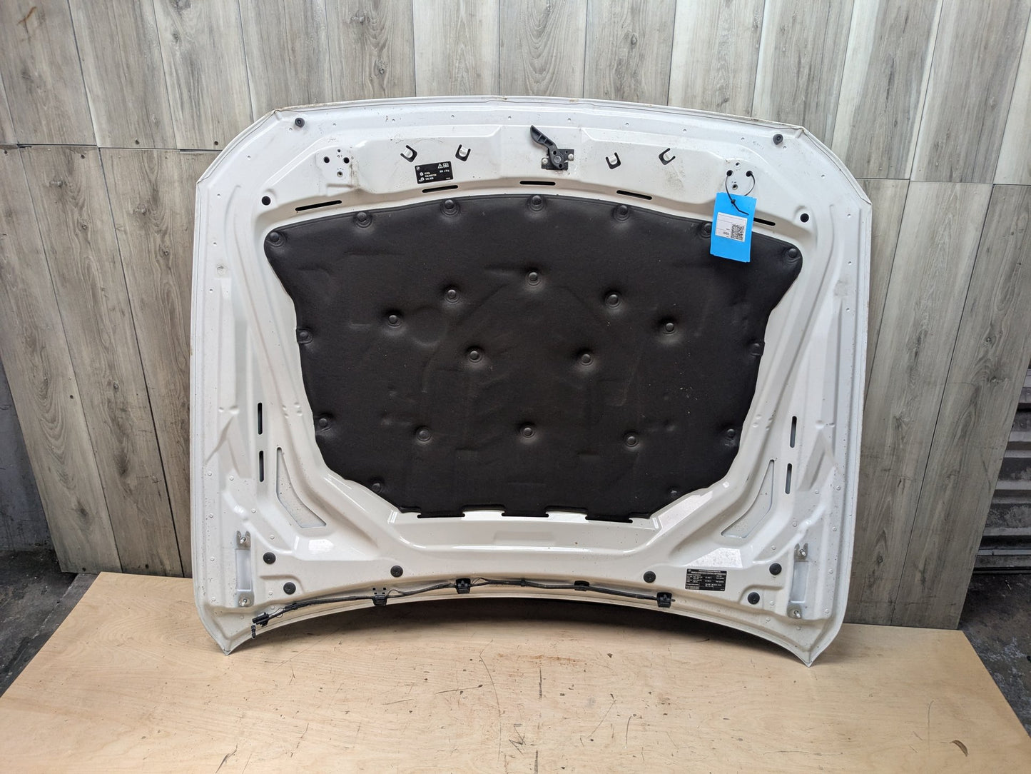11-16 OEM BMW F10 528 535 550 M5 Sedan Hood Bonnet Panel Shell
