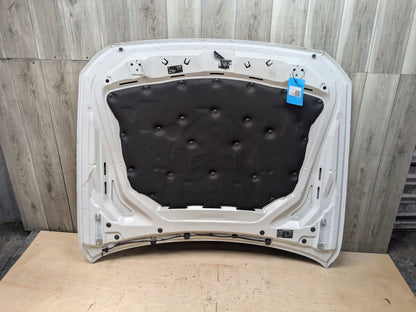 11-16 OEM BMW F10 528 535 550 M5 Sedan Hood Bonnet Panel Shell