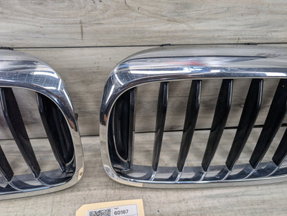 17-20 OEM BMW G30 530 540 Front Bumper Upper Kidney Grille Pair SET