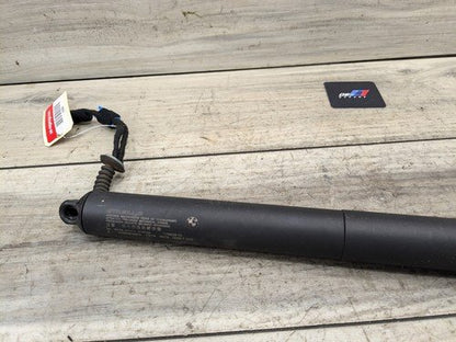 18-23 OEM BMW F39 X2  Rear Left Right Trunk Liftgate Shock Lift Support Strut