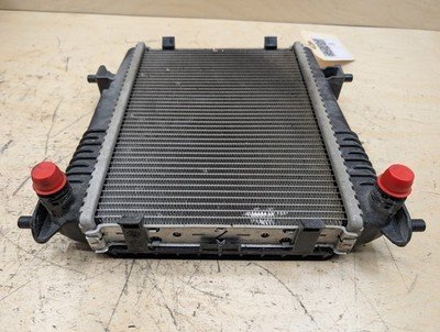 OEM BMW G20 G22 G23 G26 M340 M440 Secondary Auxiliary Coolant Remote Radiator