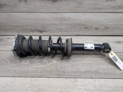 18-24 OEM BMW G01 X3 30i 30iX REAR Left or Right Spring Strut Shock Absorber
