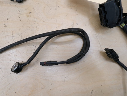 OEM BMW F10* 535 F15 F16 F25 F26 X3 X5 Engine N55 Wiring Wire Harness Module 2