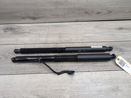 19-24 OEM BMW G01 X3 30 M40 Rear Left Right Trunk Tailgate Shock Hatch Strut