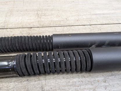 19-24 OEM BMW G01 X3 30 M40 Rear Left Right Trunk Tailgate Shock Hatch Strut