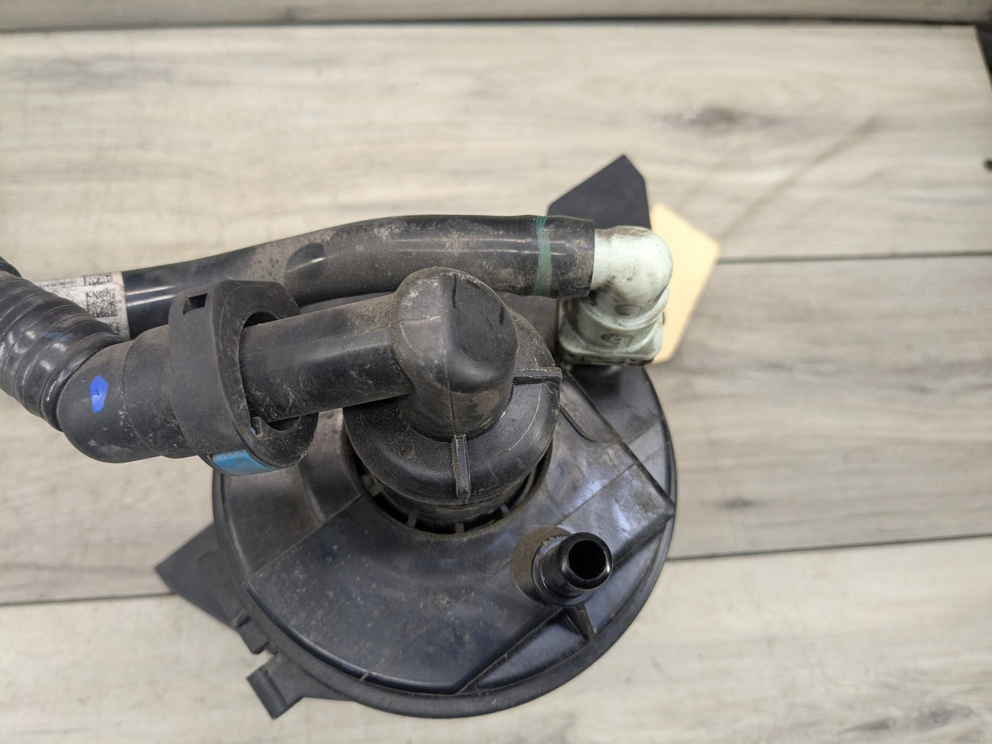 2019-2020 BMW X3 G01 Fuel Vapor Charcoal Canister 7459686 OEM