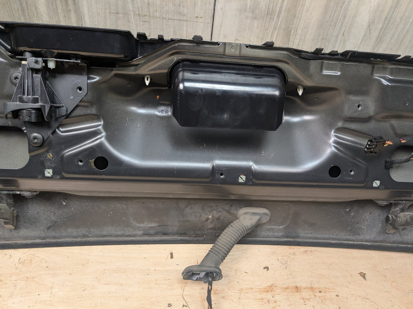 07-13 OEM BMW E70 X5 X5M Rear Lower Trunk Tailgate Door Panel Deck Lid