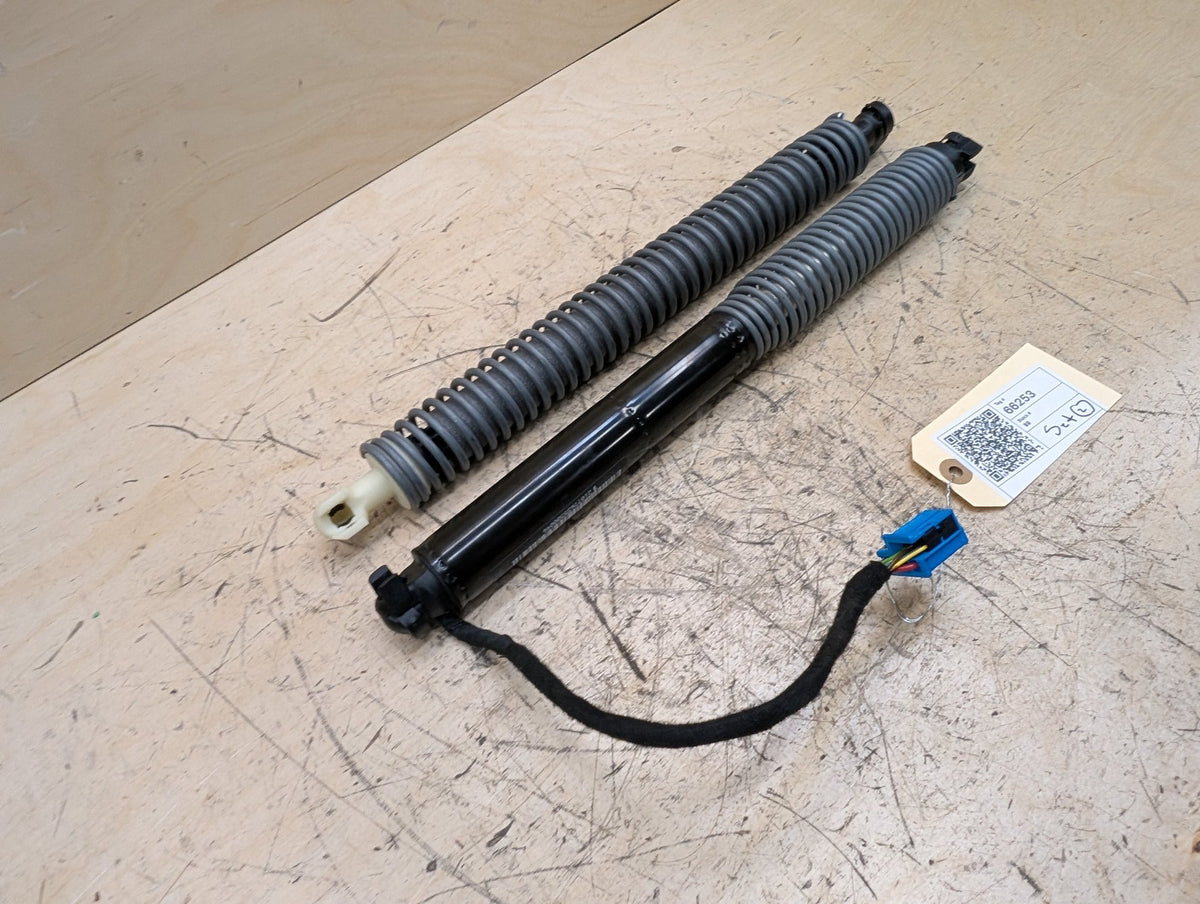 2016-2019 BMW 740i G12 Liftgate Trunk Lid Strut Shock Supports SET 7357110 OEM