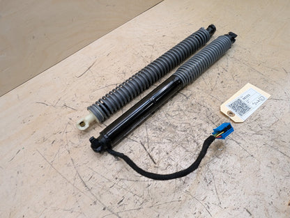 2016-2019 BMW 740i G12 Liftgate Trunk Lid Strut Shock Supports SET 7357110 OEM