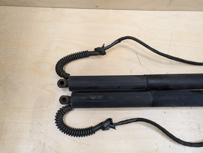 11-17 OEM BMW F25 X3 Rear Left Right Trunk Liftgate Hatch Shock Strut Supports