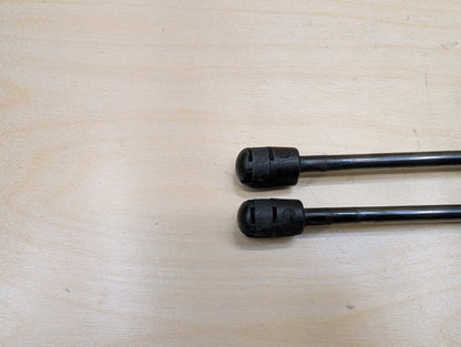 2018-2024 BMW X3 G01 Left Right Hood Bonnet Gas Strut Shock Supports SET 7397493 OEM