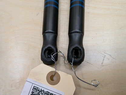 2018-2024 BMW X3 G01 Left Right Hood Bonnet Gas Strut Shock Supports SET 7397493 OEM