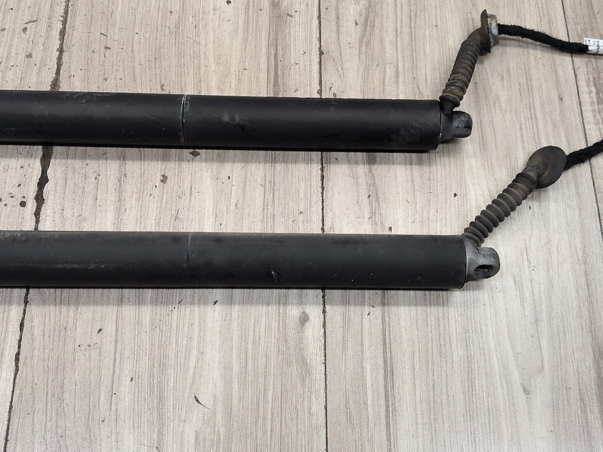2015-2018 Audi Q3 8U Rear Left Right Liftgate Trunk Lid Strut Shock Supports SET 8U082785106S OEM