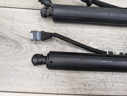 2011 - 2017 BMW X3 F25 Rear Left Right Liftgate Trunk Lid Strut Shock Supports SET 7232004 N20B20A