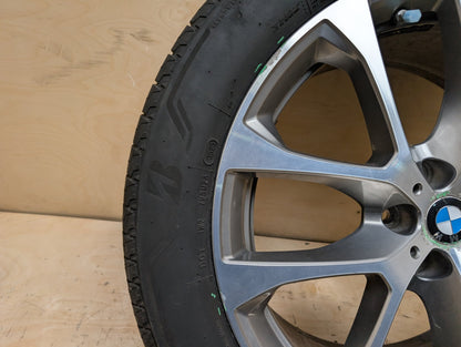 19-25 OEM BMW G05 G06 X5 X6 Wheel Rim 20x9 ET35 V=Spoke Style 738