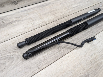 19-24 OEM BMW G01 X3 30 M40 Rear Left Right Trunk Tailgate Shock Hatch Strut