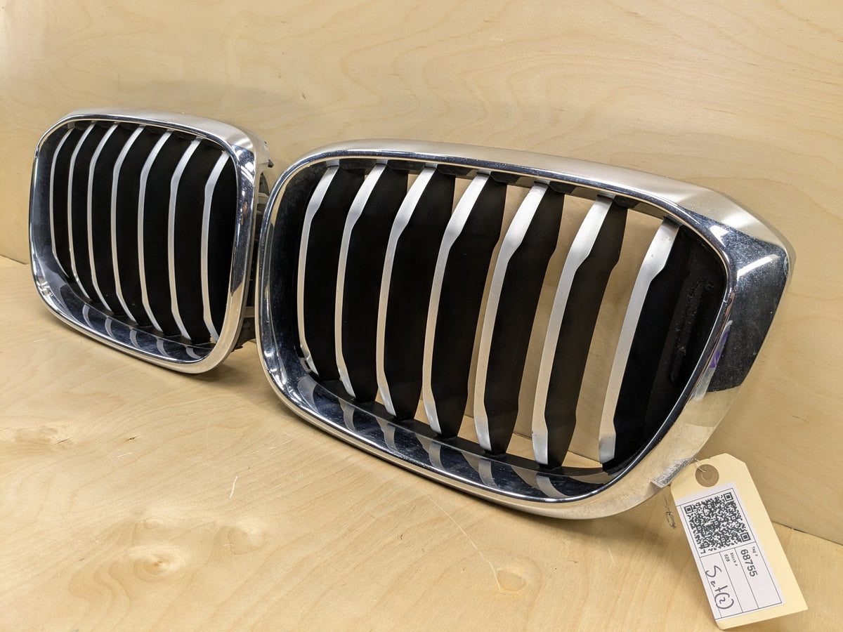 2018-2025 BMW X3 G01 Front Left Right Upper Bumper Cover Kidney Grilles SET 8091725 OEM