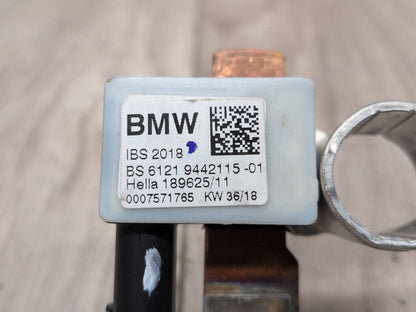 OEM BMW G05 G06 G07 G20 G22 G23 G26 G29 Negative Terminal IBS Sensor Wire Cable