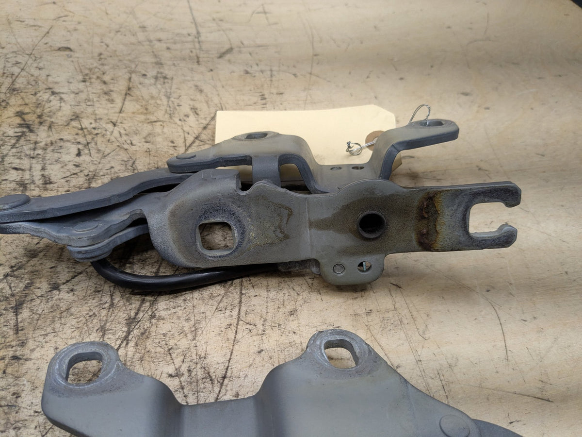 2008-2013 BMW 135i E88 Hood Bonnet Hinges SET 7060559 OEM