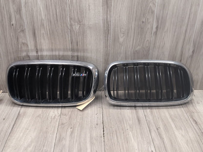 2015 - 2019 BMW X6 F86 Front Left Right Upper Bumper Cover Kidney Grilles SET 8056769 S63B44T2