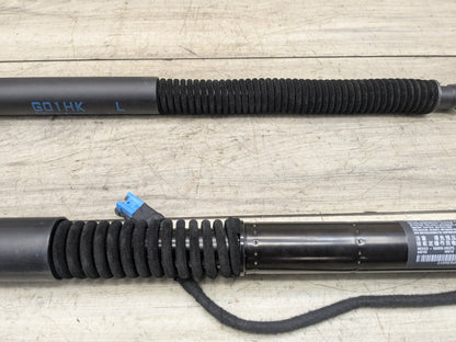 2018 - 2023 BMW X3 G01 Rear Left Right Liftgate Trunk Lid Strut Shock Supports SET 7397319 B58B30M0