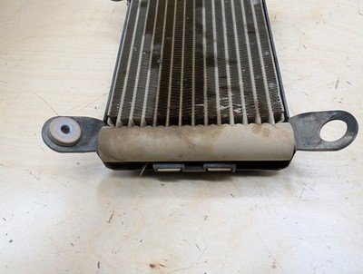 OEM BMW F22 F23 F30 F32 F33 F36 335 440 Engine Oil Auxiliary Secondary Radiator