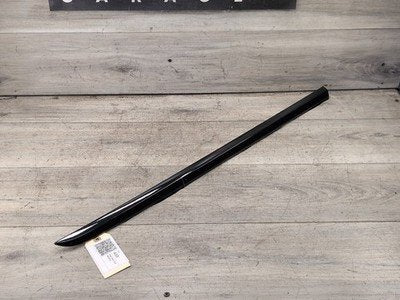 2018-2024 BMW X3 G01 Rear Right Passenger Exterior Door Trim Molding 7364354 OEM