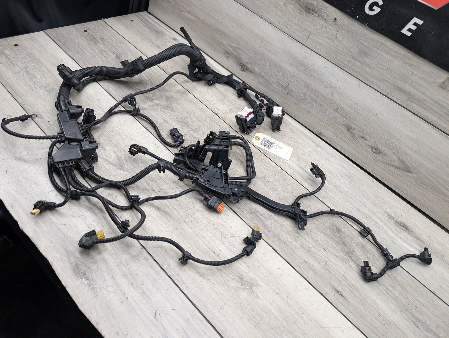 2019 - 2026 BMW 330i G20 Engine Motor Wiring Wire Harness 5A01D59 B46B20O1