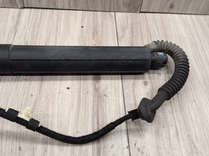 2011-2017 BMW X3 F25 Rear Left Right Liftgate Trunk Lid Strut Shock Supports SET 7287805 OEM