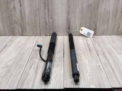 19-24 OEM BMW G01 X3 30 M40 Rear Left Right Trunk Tailgate Shock Hatch Strut
