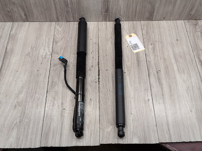 19-24 OEM BMW G01 X3 30 M40 Rear Left Right Trunk Tailgate Shock Hatch Strut