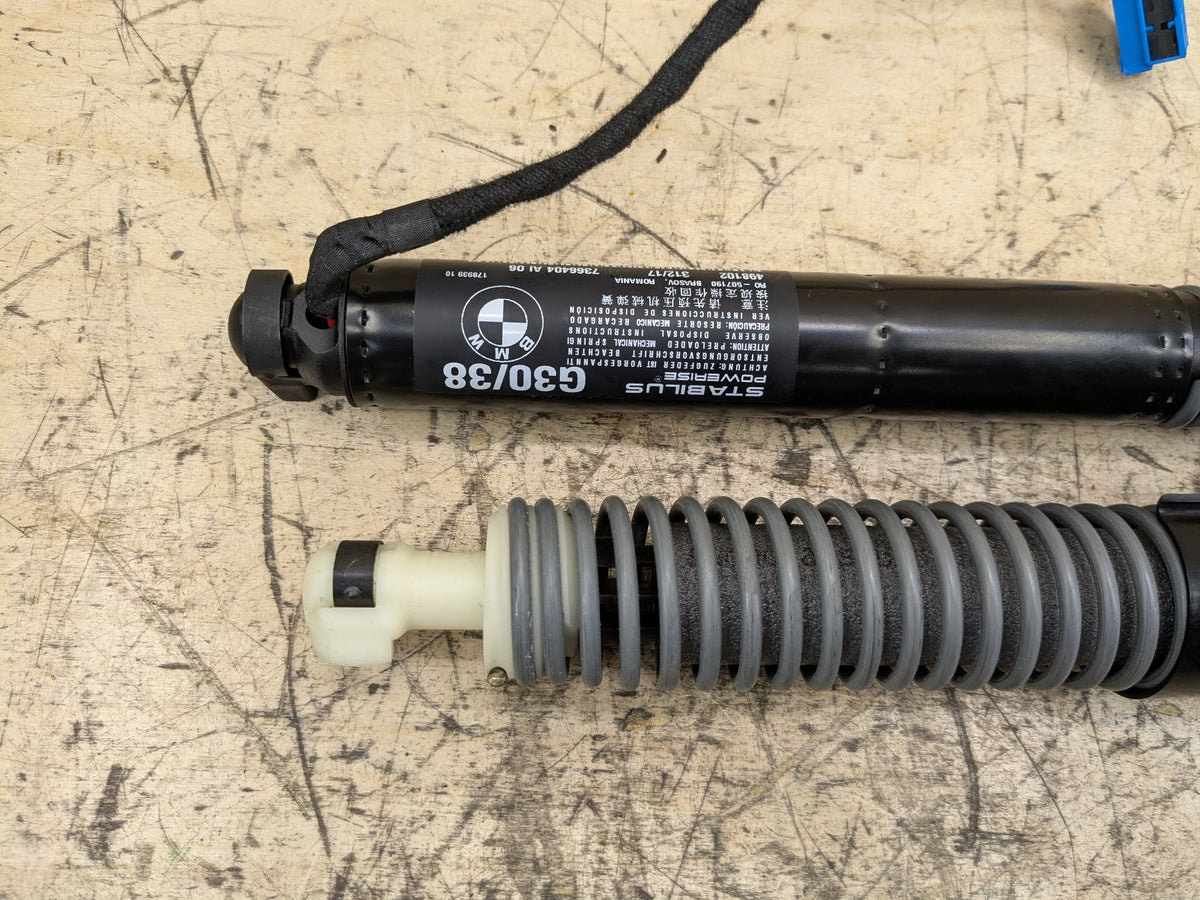2018-2023 BMW M550i G30 Liftgate Trunk Lid Strut Shock Supports SET 7366404 OEM