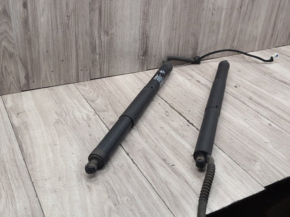 OEM BMW F15 F85 X5 X5M REAR Left Right Trunk Tailgate Shock Hatch Strut PAIR