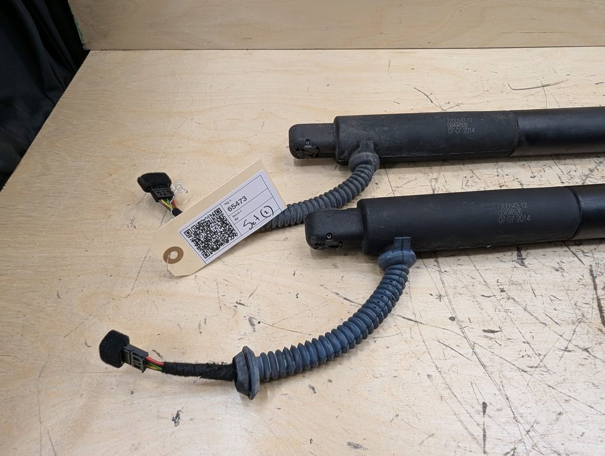 2010-2017 BMW 535i GT xDrive F07 Rear Left Right Liftgate Trunk Lid Strut Shock Supports SET 7200543 OEM