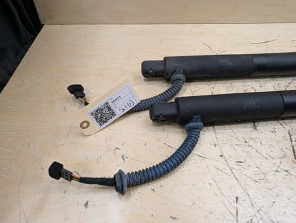 2010-2017 BMW 535i GT xDrive F07 Rear Left Right Liftgate Trunk Lid Strut Shock Supports SET 7200543 OEM