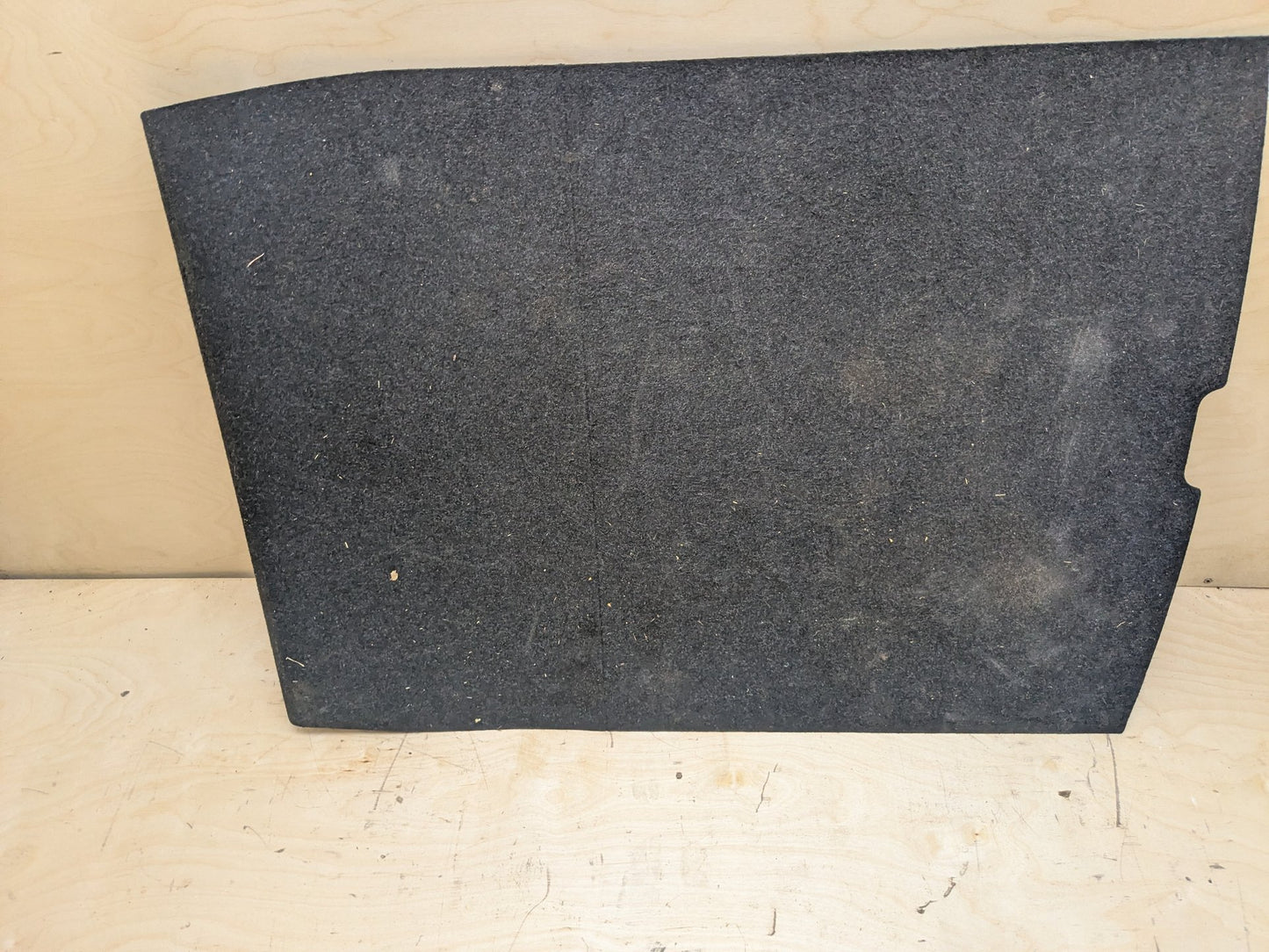 2012-2018 BMW 320i F30 Rear Trunk Cargo Floor Carpet Spare Tire Cover 7246302