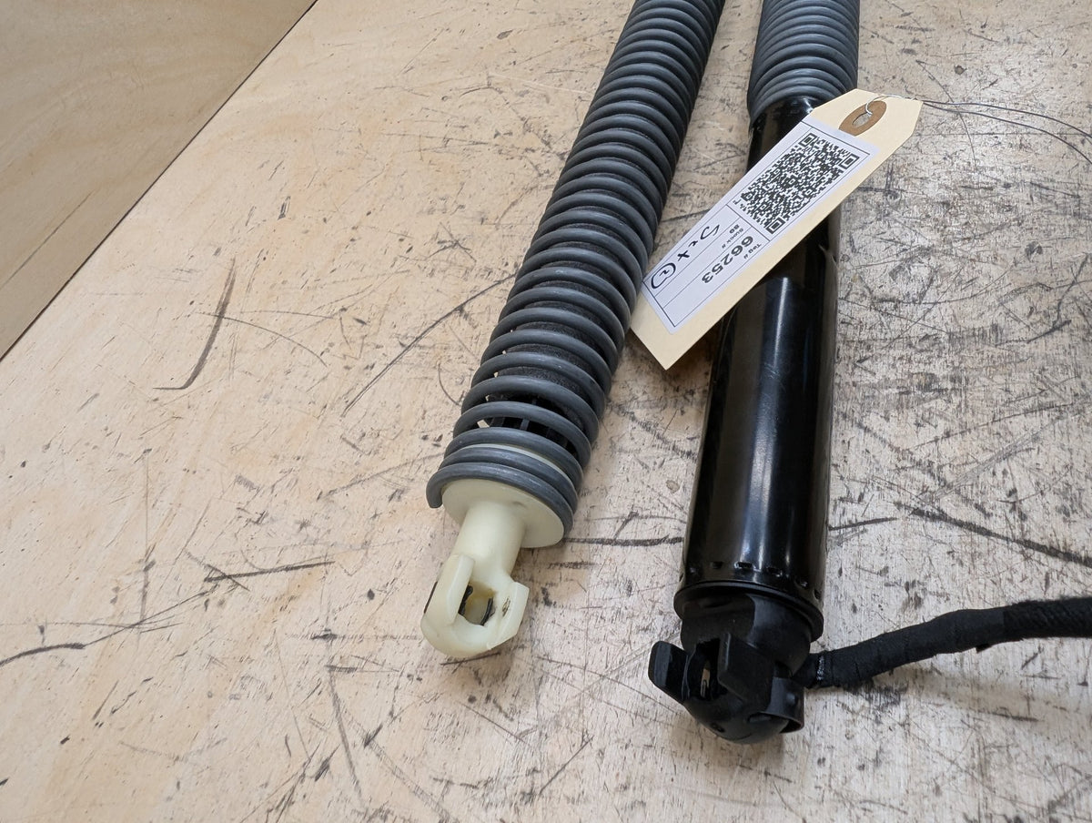 2016-2019 BMW 740i G12 Liftgate Trunk Lid Strut Shock Supports SET 7357110 OEM